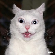 МУХАВИЧКА_ _КОТ