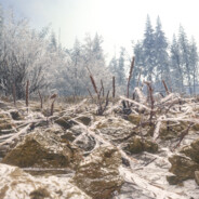 猛踹瘸子那条好腿