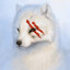 FoxFrost