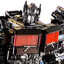 Optimus Crime