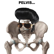 Elvis Pelvis