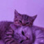 Luv