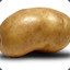 POTATO