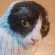 seupixas - steam id 76561199134178491