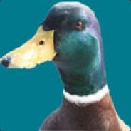 Duckmaster's avatar