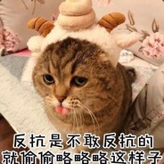 网瘾少年喵玖玖