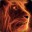 Lion king