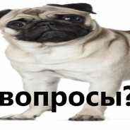 G1SA - steam id 76561199495530812