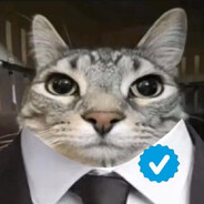 я гражданский