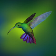 我有医保我先上