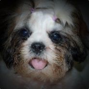 Benj ™ avatar