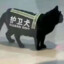 护林喵咪