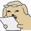 Rkdoge(:3_丶)_