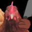 Nerfchickenlittle