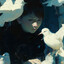 polar