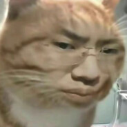 喵喵喵喵喵喵喵