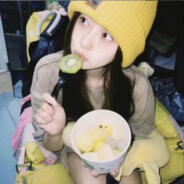 爱吃脆脆柿的花卷