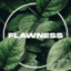 Flawness_