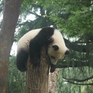 你1V1能不能赢啊？