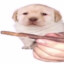 RickyBobbeh