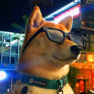 今日无事勾栏听曲