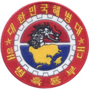 상륙기습65대대도깨비13중대무적소총3소대