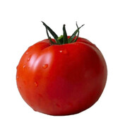 我有很多小番茄