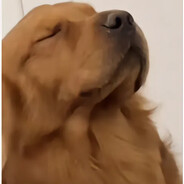 别打我，看我我就曹你