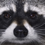 Sure - steam id 76561198089750068