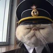 你们得不到的爸爸