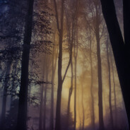 thermonuclear weapons