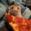 pizza rat