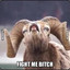 Fight me Bitch
