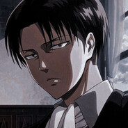 Levi