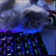 n1 cat
