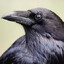 Count_Awesome