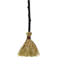 Broomstick avatar