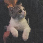 眼睛别再起雾了