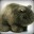 mrwombat