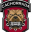 Cachorrada