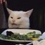 Angry Salad Cat