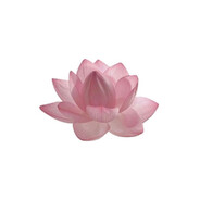 糖心Vlog极品女s主演二郎腿战神巴掌姐姐