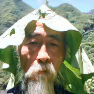鱼好撑
