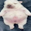 wash my belly
