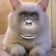 DoctorWTF