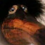 Poppio's avatar