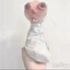 Avatar of b6oy