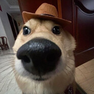 Lenerdpet avatar