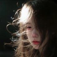 孤狼B组西伯利亚狼