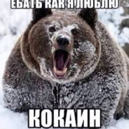 пердыня